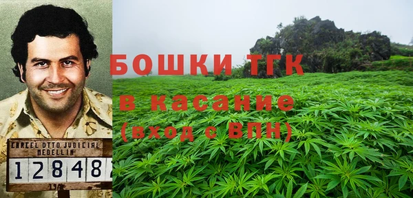 шишки Балабаново
