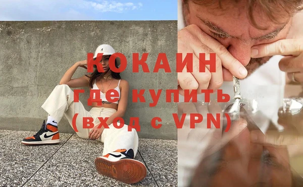 прущие грибы Баксан