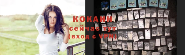 прущие грибы Баксан