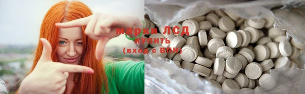 прущие грибы Баксан