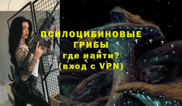 МДПВ Балахна