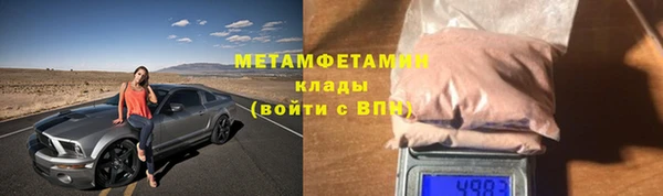 прущие грибы Баксан