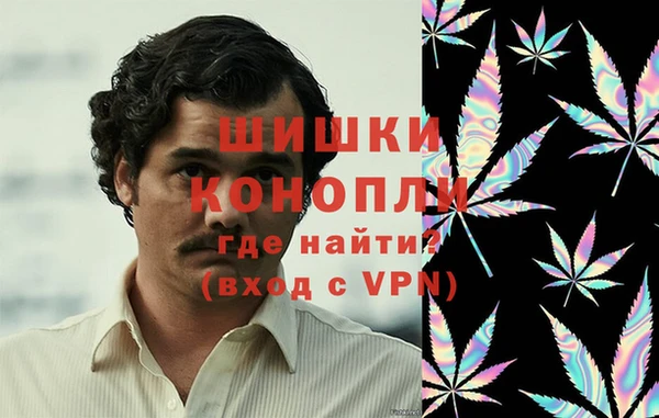 прущие грибы Баксан