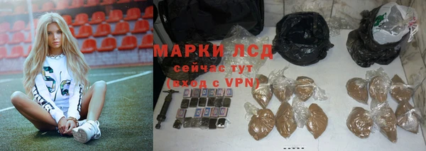 прущие грибы Баксан